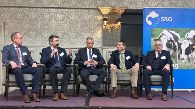 ‘Transformative’ new livestock breeding strategy launched in NI