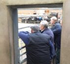 Bluetongue: Live trade of cattle to NI issue expected to be ‘resolved’ in days
