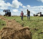 ‘No meaningful support’ for young NI farmers this year – UFU