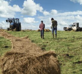 ‘No meaningful support’ for young NI farmers this year – UFU