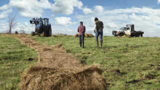 Sustainable Farming Scheme opens for Welsh farmers