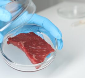 Report calls for safeguards as lab-grown meat nears regulation