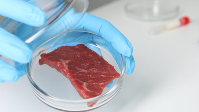 Report calls for safeguards as lab-grown meat nears regulation