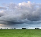 DAERA outlines Farm Sustainability Payment conditionalities