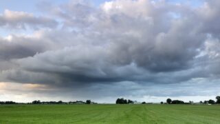 DAERA outlines Farm Sustainability Payment conditionalities