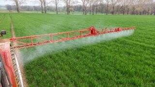 What is driving glyphosate resistance?