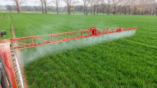 What is driving glyphosate resistance?