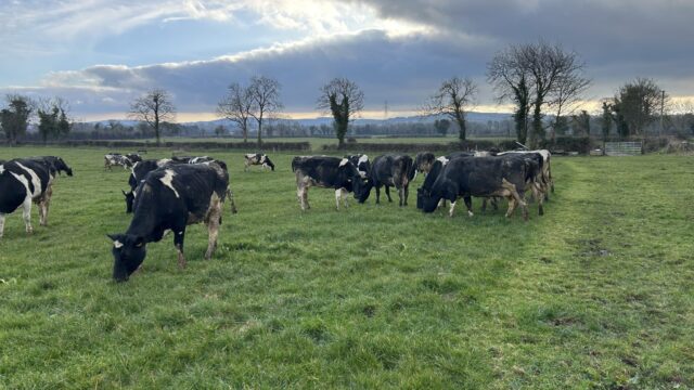 Is spring grazing a possibility yet?