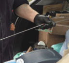 The importance of selective breeding this season