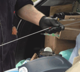 The importance of selective breeding this season