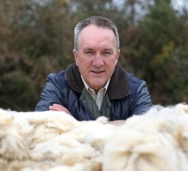 ‘Very strong’ global demand for woollen carpets – Ulster Wool