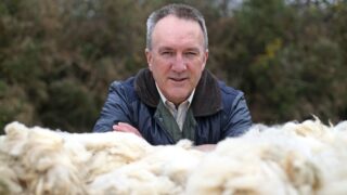 ‘Very strong’ global demand for woollen carpets – Ulster Wool