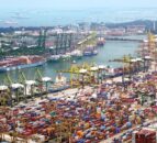 Farmers and NGOs call for UK standards to be applied to agri-food imports