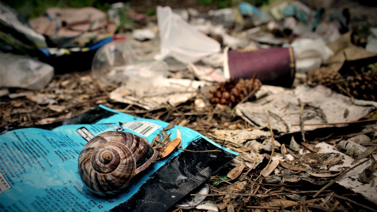 'Police-style' powers given to EA officers to crack down on dumping