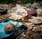 'Police-style' powers given to EA officers to crack down on dumping