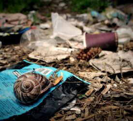 ‘Police-style’ powers given to EA officers to crack down on dumping