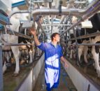 Why Dale Farm and Aurivo pulled the plug on merger talks