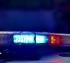 NI police appeal for information after sheep found dead