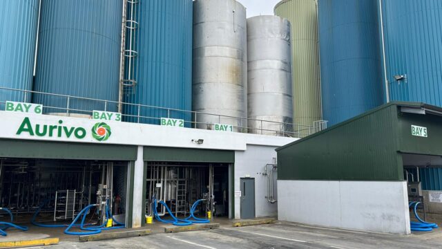 Aurivo and Dale Farm announce no merger imminent