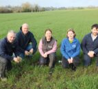 Winter wheat crops well advanced in Co. Down
