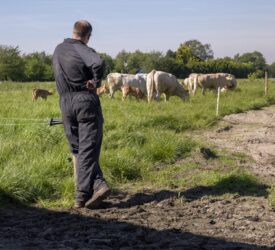 UFU calls for budget to provide long-term certainty and fairness for farmers