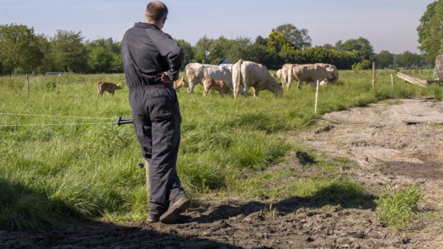 UFU calls for budget to provide long-term certainty and fairness for farmers