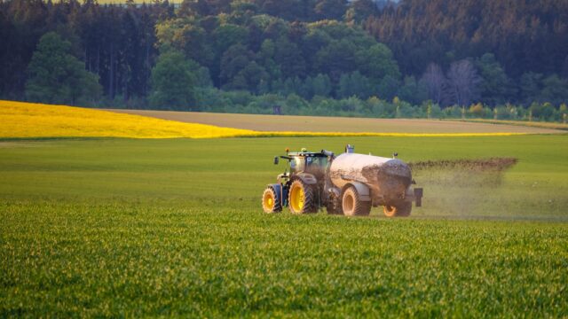 Spring nitrogen planning: Using excess winter rainfall data