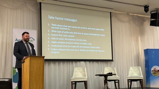 Listen: Growing a suckler herd to 300 cows on 770ac in Scotland