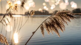 DAERA extends deadline for conservation council applications