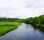 DAERA announces plans to ‘strengthen’ regulation of water pollution