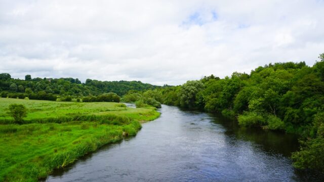 DAERA announces plans to ‘strengthen’ regulation of water pollution