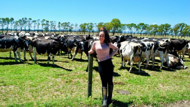 End of dairy era as Melbourne’s last dairy farm sells up