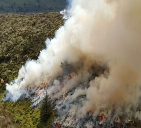 NI authorities appeal for public vigilance on wildfires