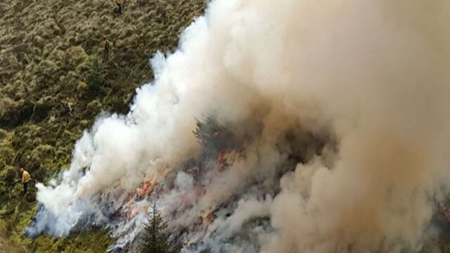 NI authorities appeal for public vigilance on wildfires