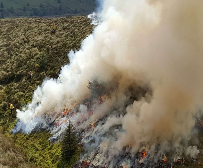NI authorities appeal for public vigilance on wildfires