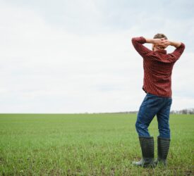 Opinion: Mental stress and anxiety taking an inordinate toll on young farmers