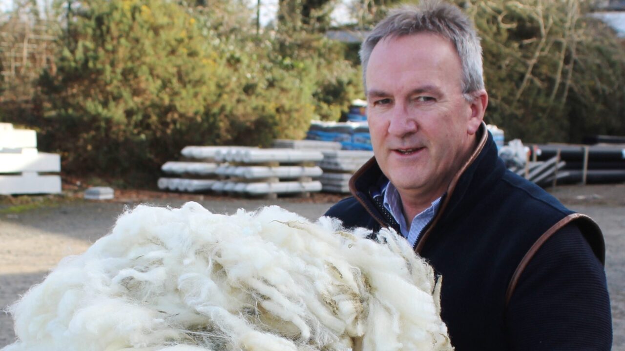 Potential to better manage Ireland’s wool output on all-island basis highlighted