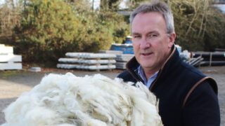 Potential to better manage Ireland’s wool output on all-island basis highlighted