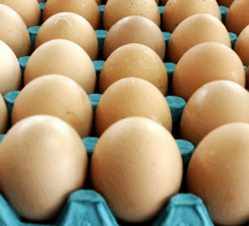 Rabobank: Strong outlook for European poultry