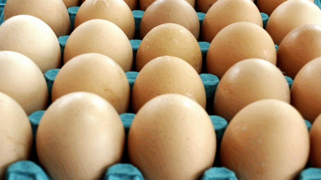 Rabobank: Strong outlook for European poultry