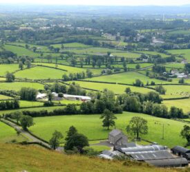 NI agricultural land market scenario is ‘fast changing’ – adviser