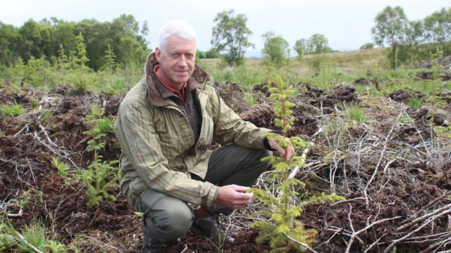 Calls for clarification on future support for NI private woodlands