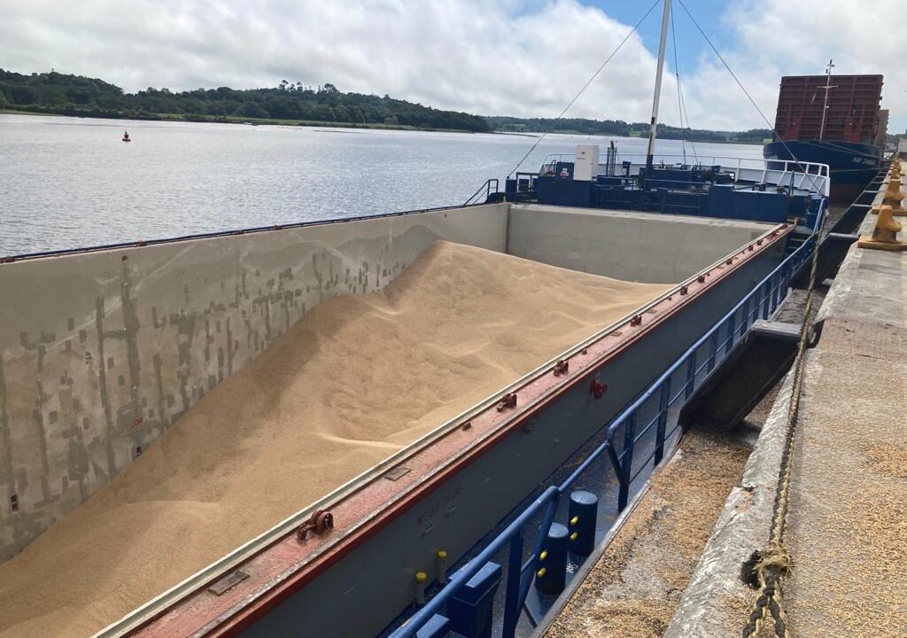 Preparing for EU deforestation rules ‘feels almost like Groundhog Day’ – NIGTA