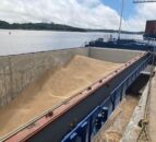 Preparing for EU deforestation rules ‘feels almost like Groundhog Day’ – NIGTA