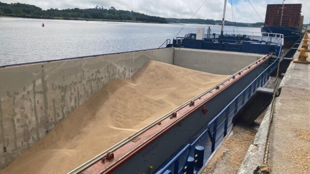 Preparing for EU deforestation rules ‘feels almost like Groundhog Day’ – NIGTA