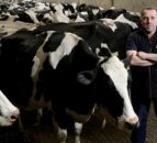 NFU: Next Welsh govt 'must give hope' of a future without bTB