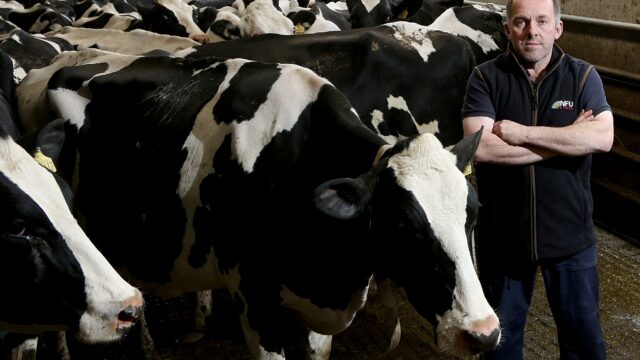 NFU: Next Welsh govt 'must give hope' of a future without bTB