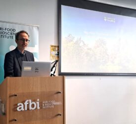 Regulatory frameworks will define future of UK agriculture – academic