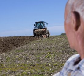 NI farmers need ‘straight answers’ on available support – UFU