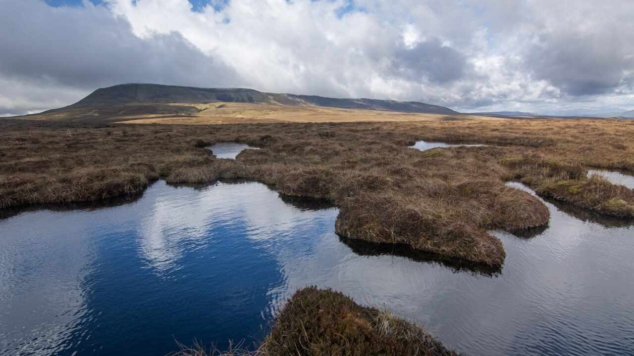 DAERA outlines delivery plan for NI’s first peatland strategy